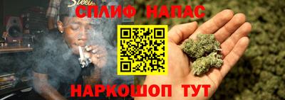 spice Кунгур
