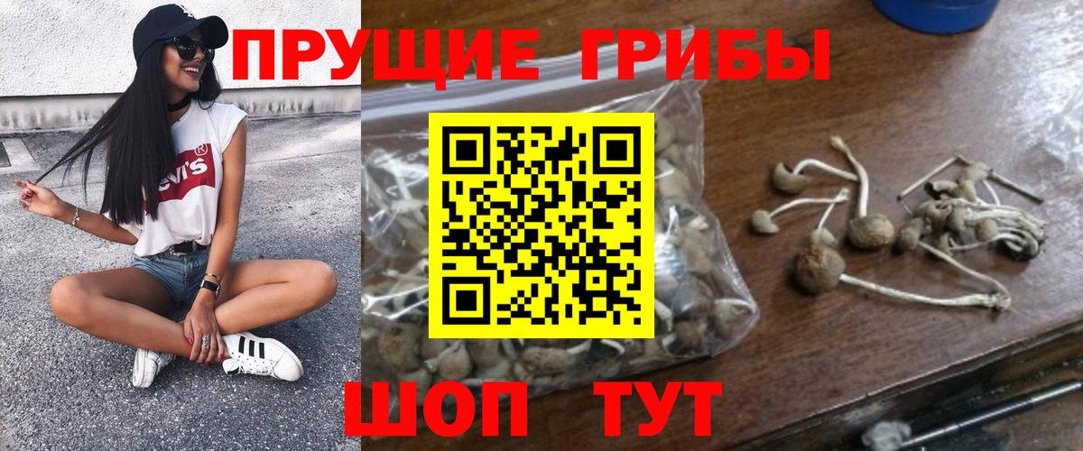 Домодедово  Псилоцибиновые грибы мухоморы  даркнет сайт  Вход с VPN 