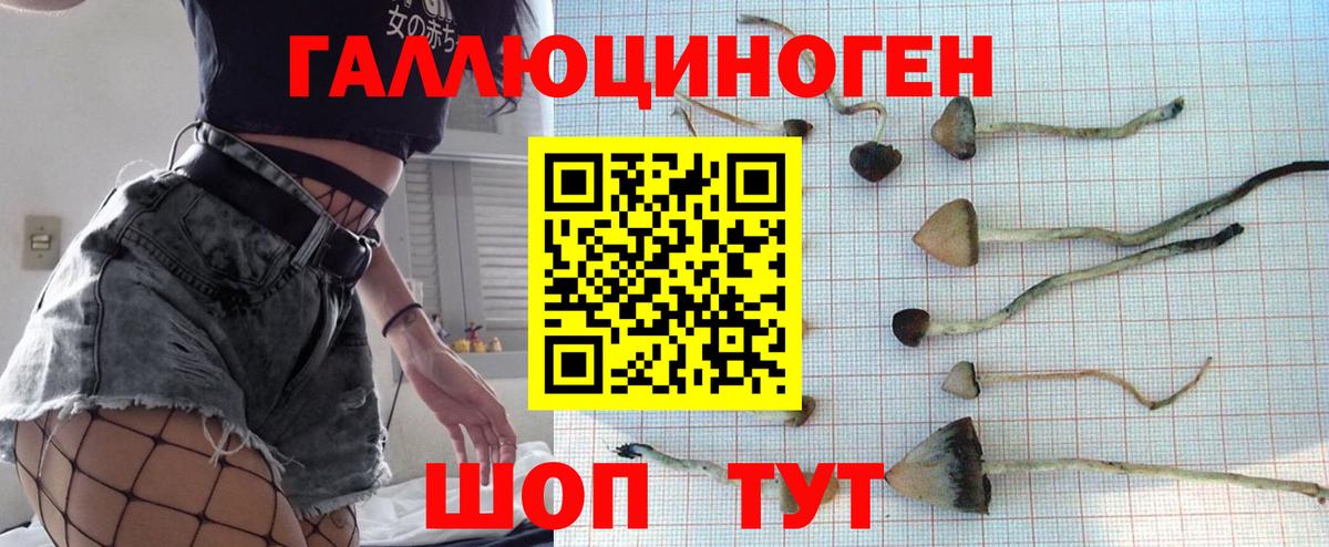 Галлюциногенные грибы MAGIC MUSHROOMS Домодедово